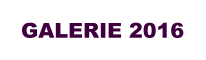 GALERIE 2016