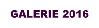GALERIE 2016